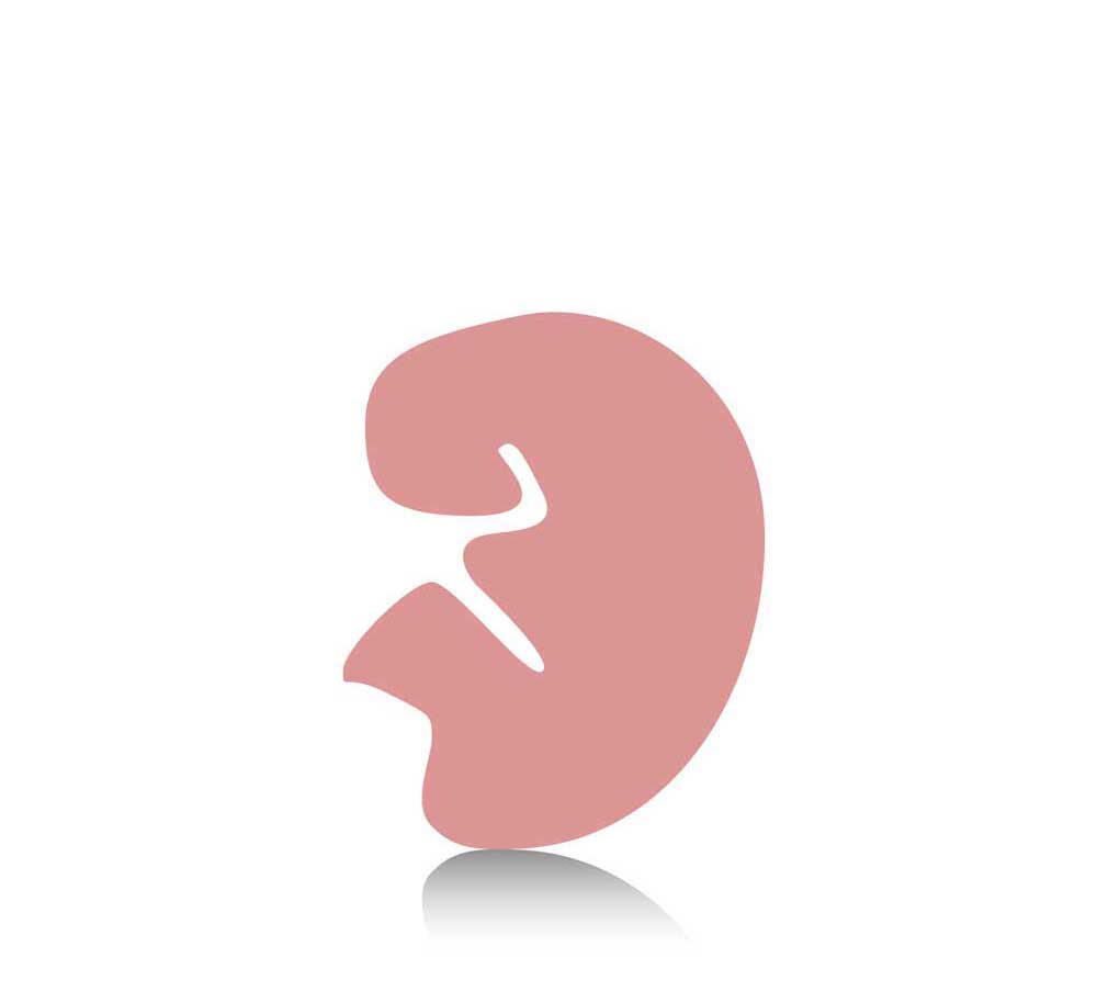 6-weeks-pregnant שבוע 6 להריון