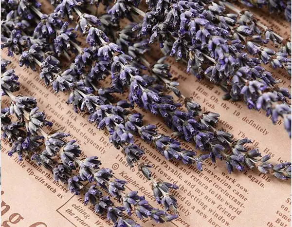 Lavender-Natural-Dried-Flower-Bouquet