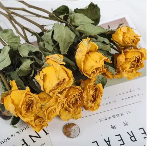 Natural-Dried-Flowers-Dried-Rose-Bouquet