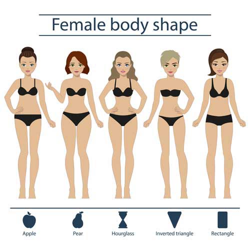 Female-body-shapes